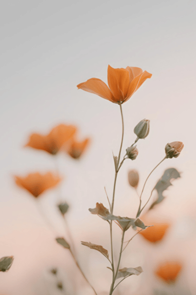 Herramienta 1: Suspiro fisiológico, botón de reseteo para reducir el estrés en segundos